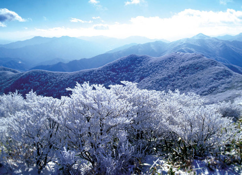 冬季景觀
