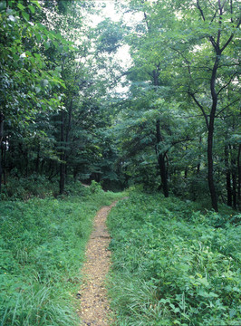 季節(jié)性
