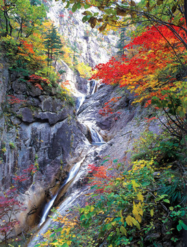 季節(jié)性