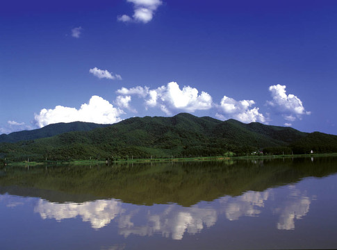 季節(jié)性