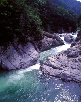 季節(jié)性