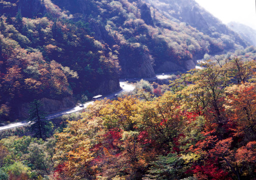季節(jié)性