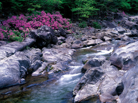 季節(jié)性