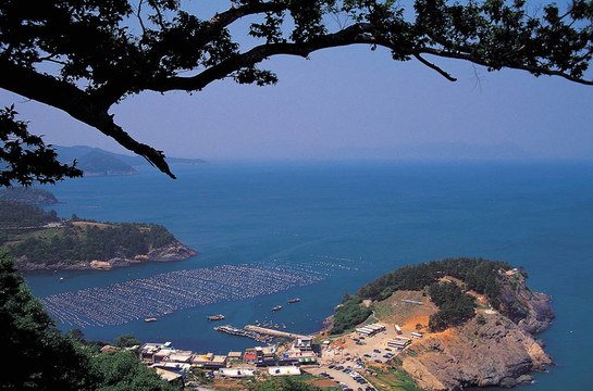 海村