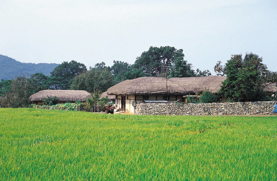 韓國(guó)的傳統(tǒng)
