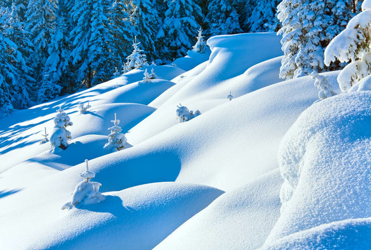 冬天的白雪覆蓋的山坡上的積雪