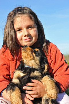 英國可卡犬和幼犬的孩子