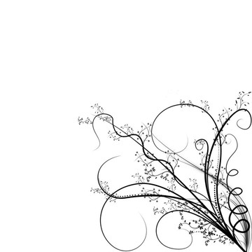 美麗的插圖花卉背景設(shè)計(jì)與空間為您的文字