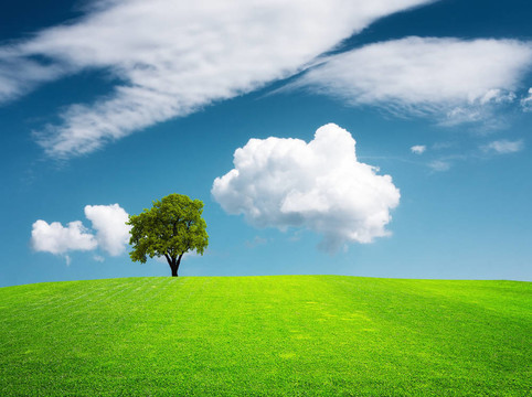 Green Hill景觀