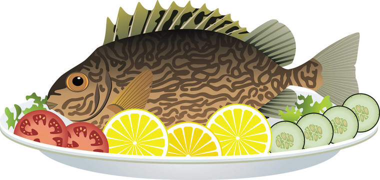 盤子上熟魚和生蔬菜