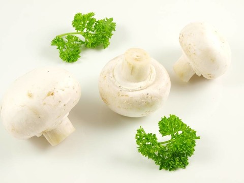 香菇與香菜