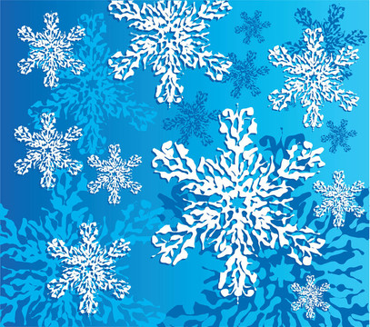 冬天的雪花