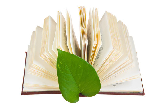 推出了一個綠葉的書