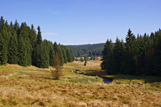在厄爾士山脈徒步旅行；germany-3