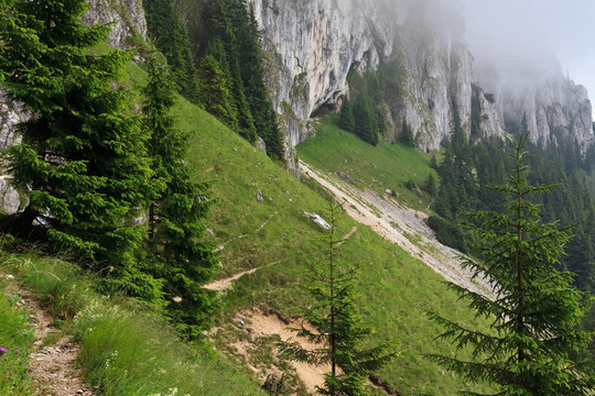 山坡