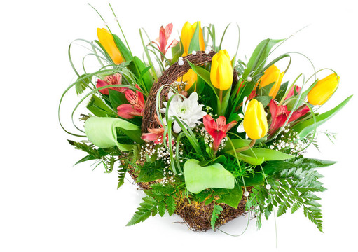 一束黃色的郁金香花