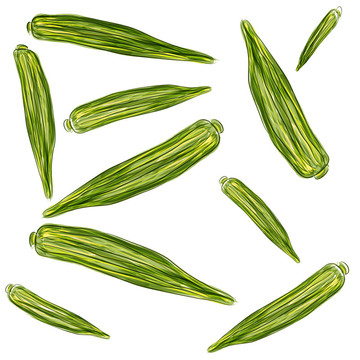 黃秋葵的水彩藝術(shù)
