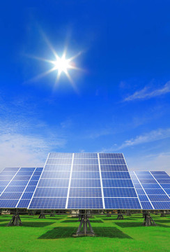 帶綠草的太陽能電池板