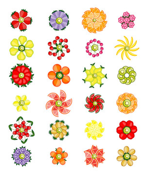 水果的花卉设计集