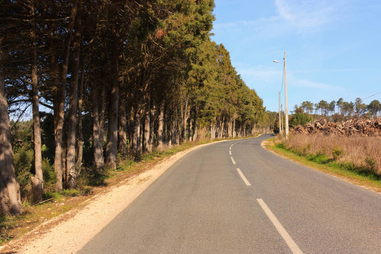 空蕩蕩的道路，樹木和藍(lán)天