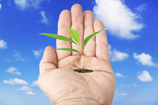 在天空背景下與植物一起張開(kāi)手