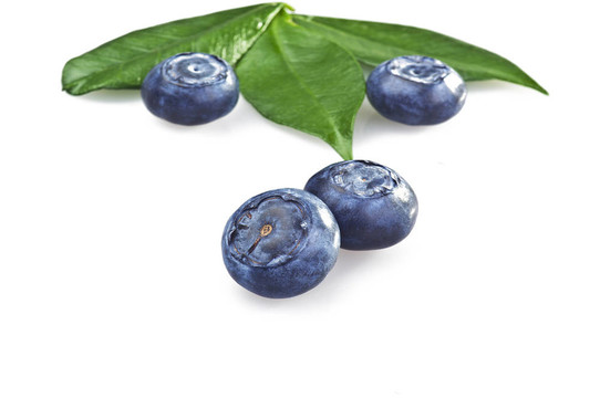 白色背景上的藍(lán)莓