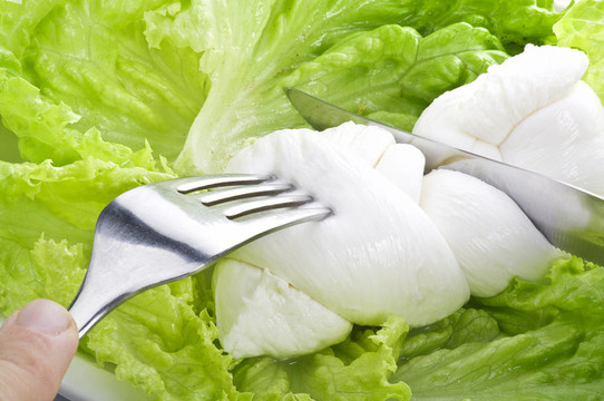 用叉子在沙拉Mozzarella
