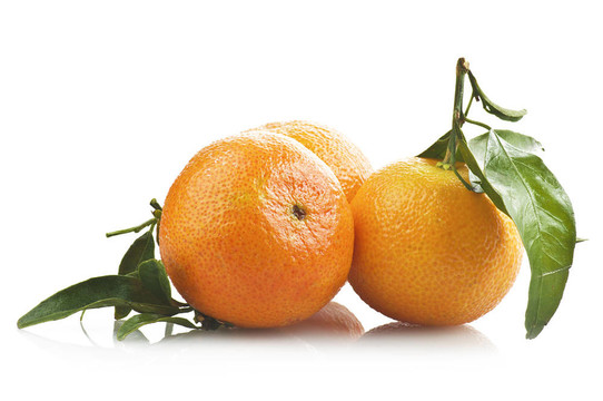Tangerine夜店上的白色