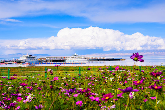 青海湖