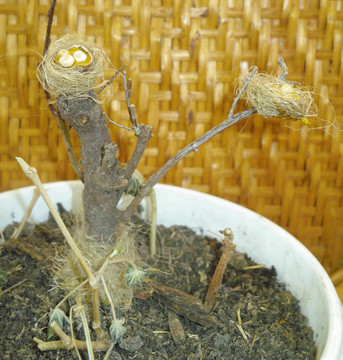 微型自然