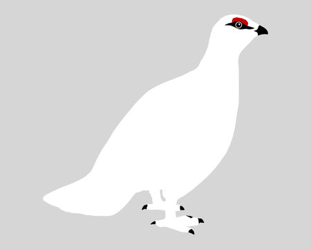 雷鳥