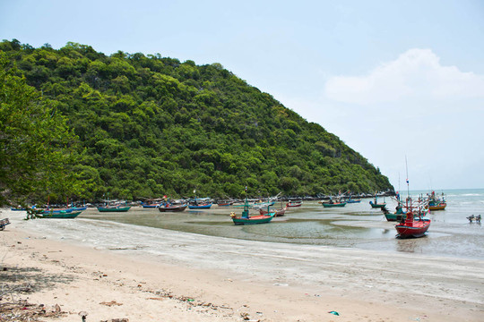 沙灘和大海