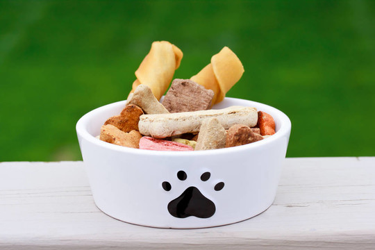 狗碗里的狗食