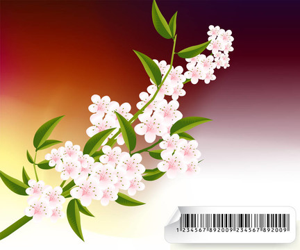 花的插圖