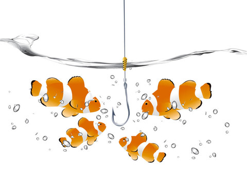 小丑魚