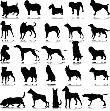 狗的黑色插圖