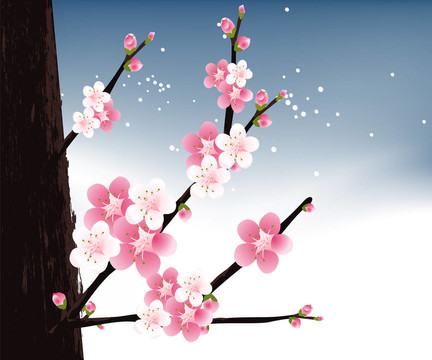 花的插圖
