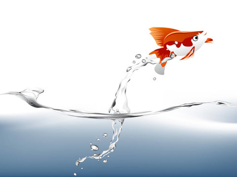 金魚