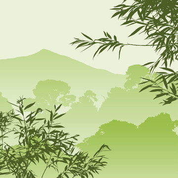 森林景觀