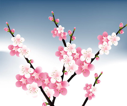 花的插圖