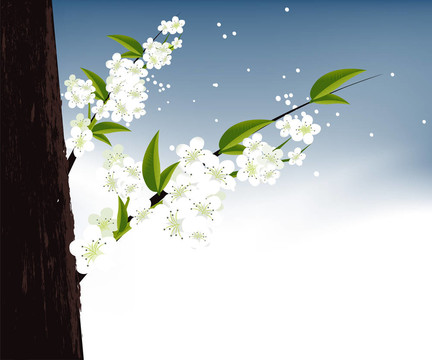 花的插圖