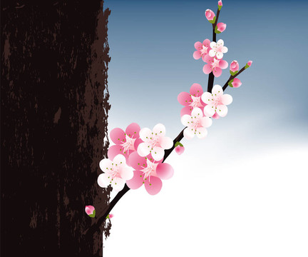 花的插圖