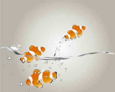 小丑魚