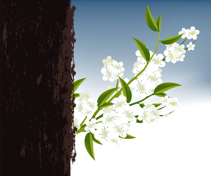 花的插圖