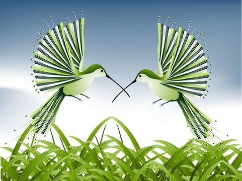蜂鳥