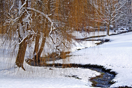 雪景
