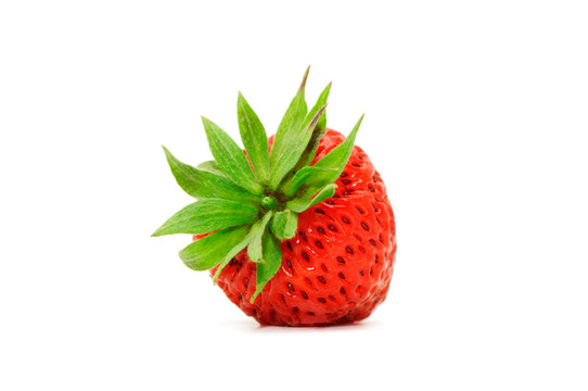 草莓