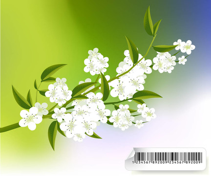 花的插圖