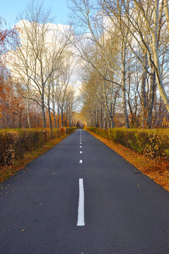 路