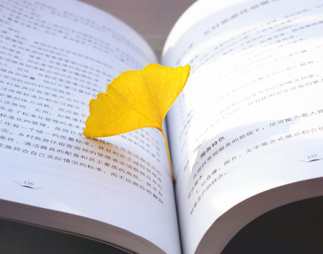 銀杏葉 書中